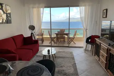Grand appart. 4-5 pers, accès direct plage, clim, vue mer panoramique, parking