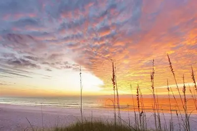 Image de Your winter escape awaits you, directly across the street from Siesta Key Beach!