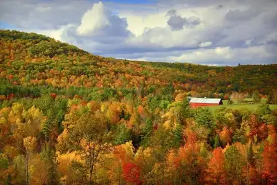 Image de Tranquility: Secluded White Mountains New Build Custom Log Home on 5 acres