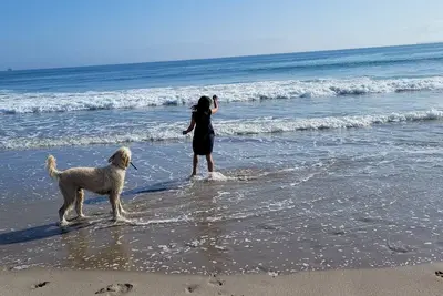 Image de Fully fenced. Family and pet friendly. \nLocated close to Beach and shopping\n