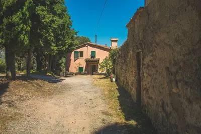 Image de House Count Picedi app. Sun