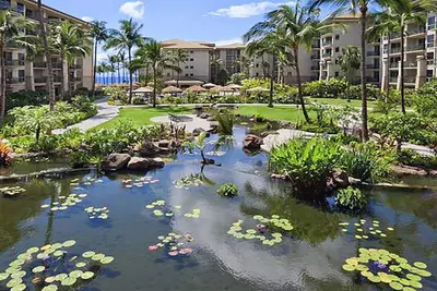 Image de Luxe Westin Kaanapali Ocean Resort, Sleep 4, full resort access. Steep Discount!