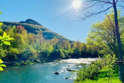 Image de Cozy Hunter Mountain Cabin by the River