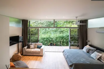 Image de The beautiful Studio mono de oro is situated in a calm and peaceful jungle