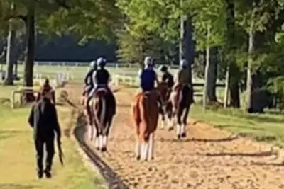 Image de Blue Barn Lodge_ Unit 4: Horse Trail Retreat