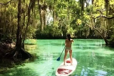 Image de Rainbow River Experience.