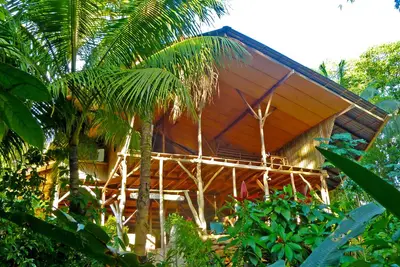 Image de Jungle hostel in tree house style