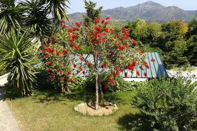 Image de Appartement dans villa 2 à 3 personnes avec grand jardin privatif