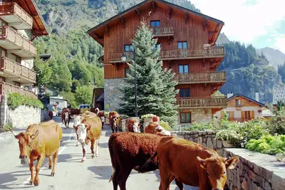 Image de Chalet Bouquetin- joli et confortable 4-5 pièces 90 m² 3 chambres plein sud