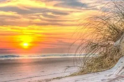Image de Beautiful 4bdrm - 1 Min Walk to Beach & Ocean Blvd!