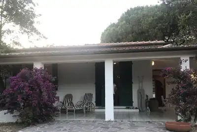 Image de Detached house located about 2 km from the center of Procchio and 3 km from Marina di Campo