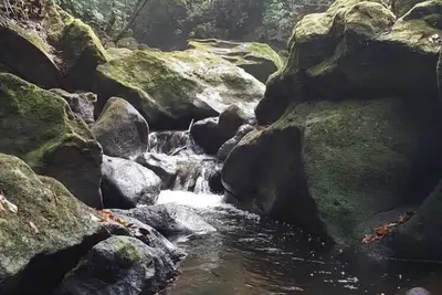 Image de Woodlands San Rafael Heredia, Costa Rica