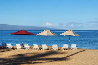 Image de Ground Floor Garden Oasis  Peaceful and convenient! ! !