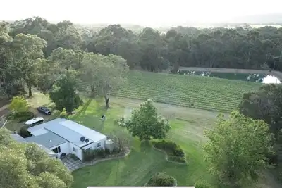 Image de Wisteria Vines Estate