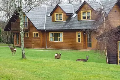 Image de Culzean Diamond Lodge with hot tub and sauna