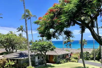 Image de Paradise at Alaeloa - Swim with the Turtles!