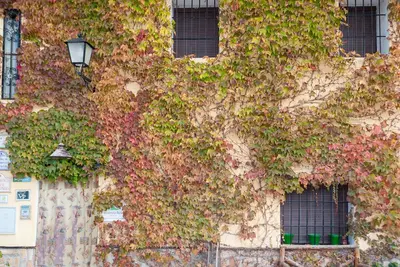 Image de Belle maison Ă Arenas del Rey avec WiFi
