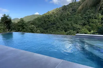 Image de Magnifique villa sur la canopée, piscine à débordement sans vis-à-vis