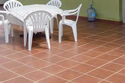Image de Terrasol Caracola 5ÂŞ Planta