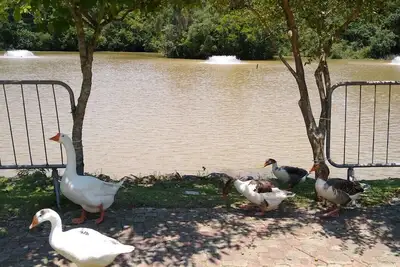 Image de Farm near Sp