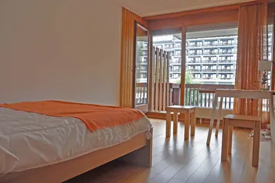 Image de Nice, rennovated studio at the center of Villars, 3min from ski lifts