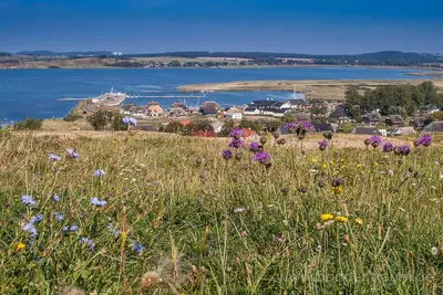 Image de At the sailing harbor, terrace, garden, sea view - vacation home Boddentraum Morgenrot