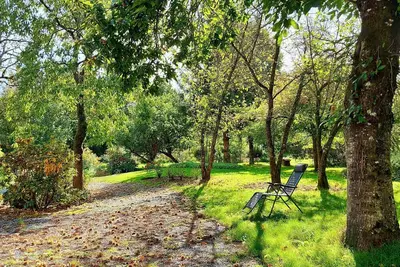 Image de Gîte nature 8 pers avec pêche, piscine chauffée et étangs, idéal Pmr et familles