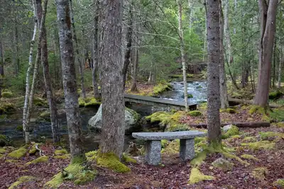 Image de Peaceful Basement Apartment among serene woods, paths, and a stream near Acadia