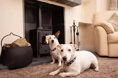 Image de Dovedale, pet friendly, with open fire in Keswick