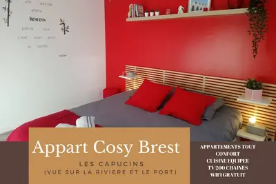 Image de Appartement Cosy Brest Les Capucins 6 vue sur le port