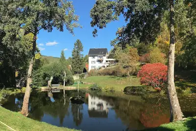 Image de Grand, vue panoramique, étang, 2 terrasses Bbq****