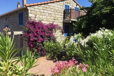 Image de Le Moulin de Figari-Gîte-Douche-Famille-Vue sur Piscine