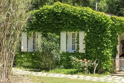 Image de domaine de rhodes  mazet camargue