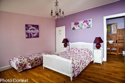Manoir François 1er la violette