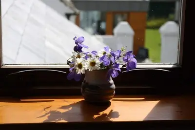 Image de Appartement-Salle de bain privée séparée-Vue sur Jardin