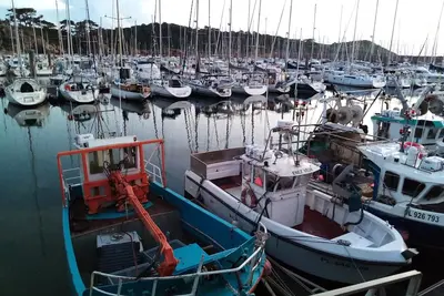 Image de Appart, spacieux, calme, lumineux, 5 mn du centre ville et plage avec garage.