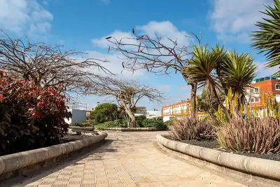 Image de Le Poulpe bleu Fuerteventura chic & relax