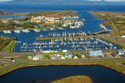 Image de Two Family-Friendly Units! Pool, Attractions and Sauna