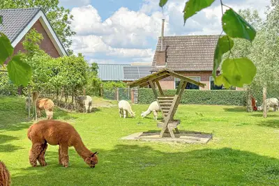 Image de Maison individuelle sur une ferme d'alpagas