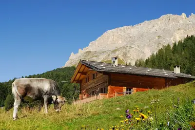 Image de Ski-In Vacation Home \"Thaleralm\" on the Alp avec vue sur la montagne, terrasse et jardin