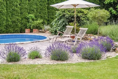 Image de Confortable appartement pour 4 personnes avec Wifi, piscine, patio et parking