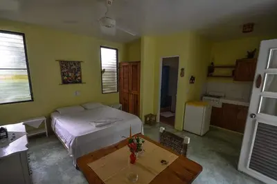 Image de Jungle studio with kitchenette