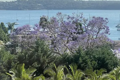 Image de Modern Elizabeth Bay Apartment Harbour Views
