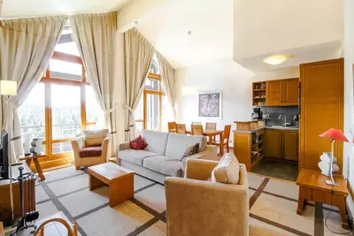 Image de T3 penthouse de luxe orienté sud avec cheminée