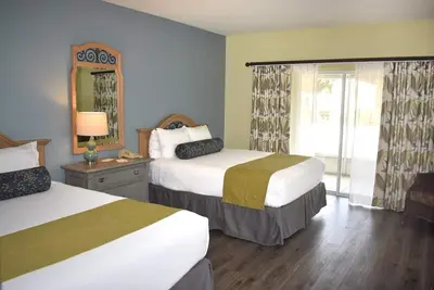 Image de Manatees Experience! Everything You Need For The Perfect Vacation! Pool!