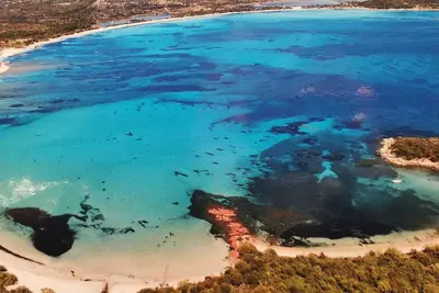 Image de Villa de charme - 400 m plage San-Ciprianu - 2 jardinets - Porto-Vecchio Ă 9 km