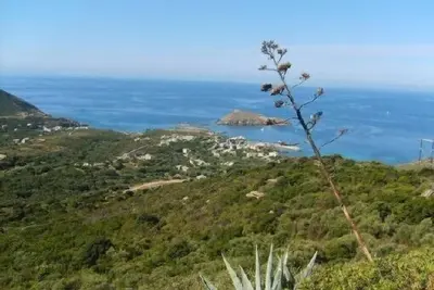 Image de Cap corse - centuri bord de mer