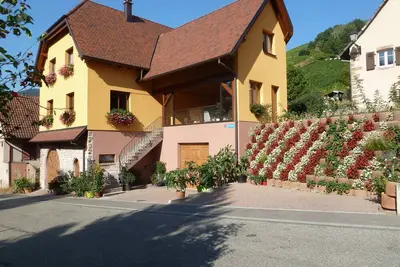 Image de Le Schieferberg au coeur du Vignoble