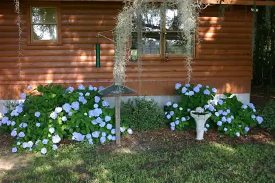 Image de Gran's House-peaceful and historic country setting