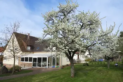 Image de Villa\/appartement *** avec véranda et beau jardin
